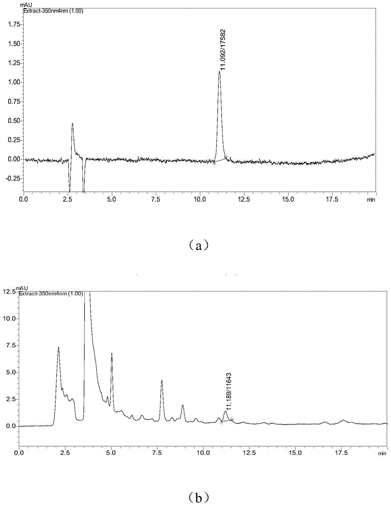 Traditional Chinese medicine prescription for treating wound and preparation method of traditional Chinese medicine oil dressing based on traditional Chinese medicine prescription