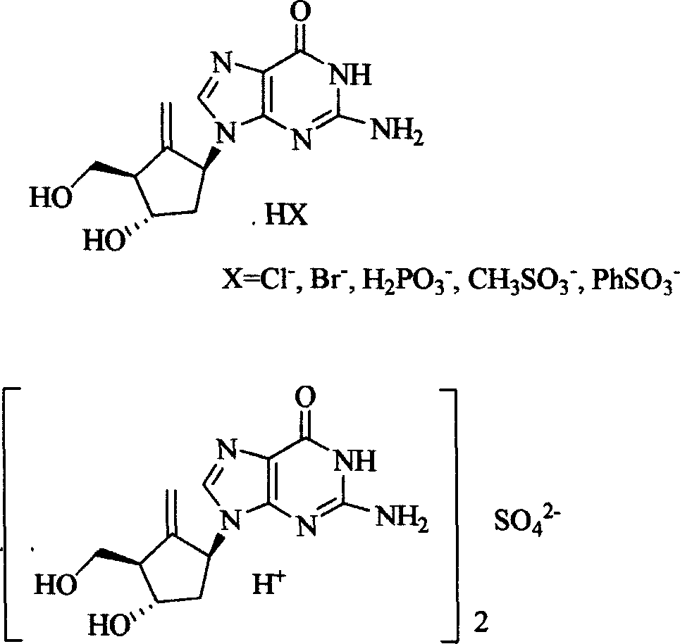 Entecavir salt, and preparation