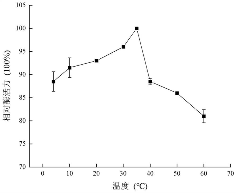 Low-temperature-resistant phospholipase D derived from Antarctic bacteria and preparation method and application thereof