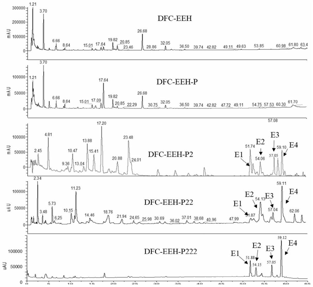 Preparation method of ingenane type diterpene and its use in pharmacy