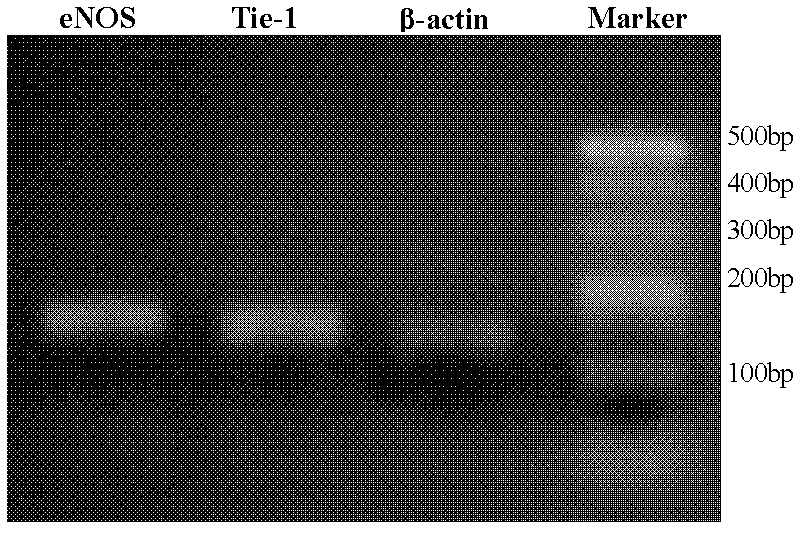 Medicinal composition for directional controlled release of trace elements and preparation method and application