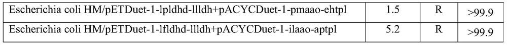 An engineering bacterium and its application to produce p-hydroxyphenyl lactic acid with cheap substrate