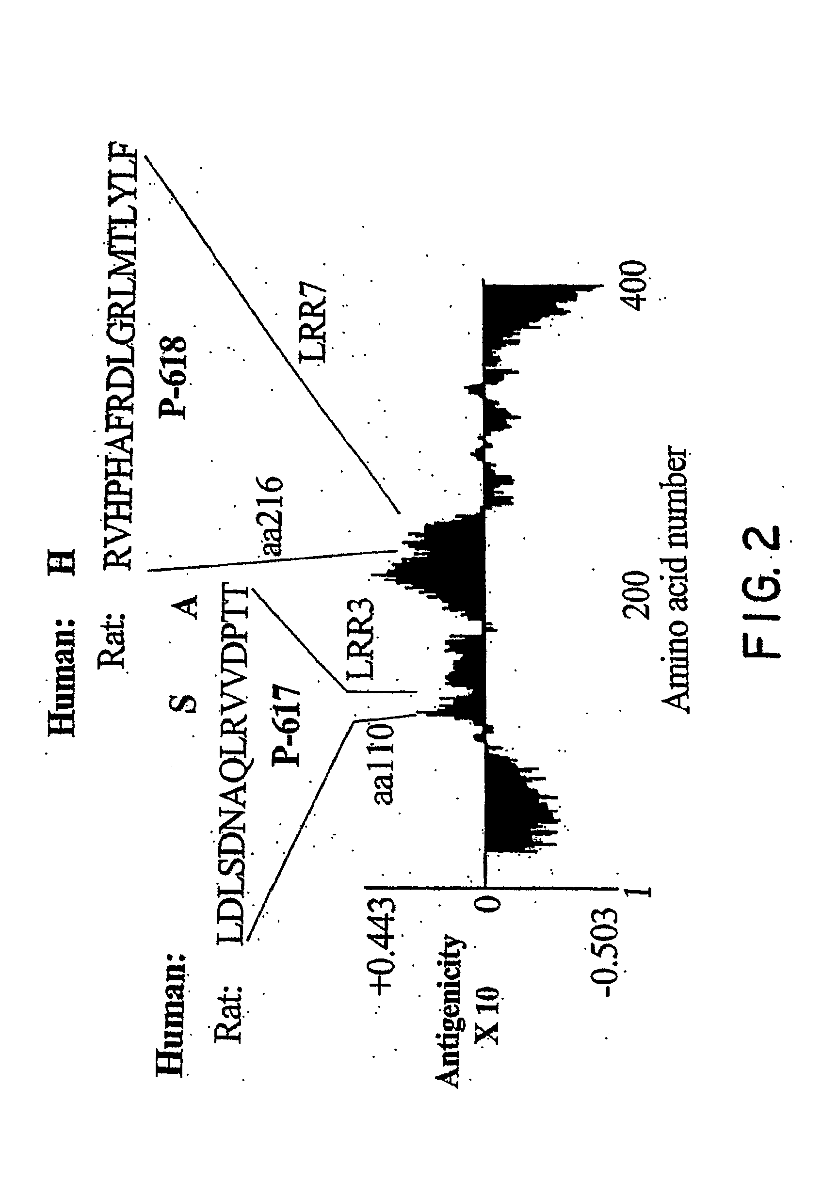 Nogo Receptor Antagonists