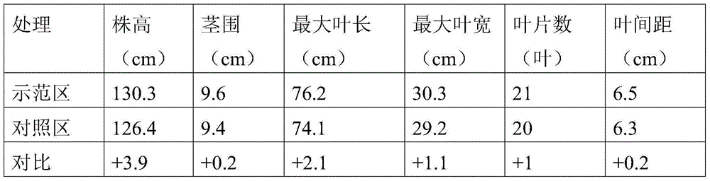 Special macroelement water-soluble fertilizer for tobacco and preparation method of special macroelement water-soluble fertilizer