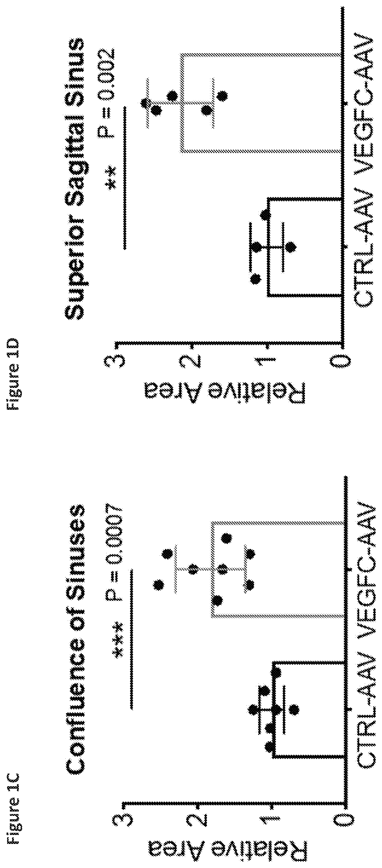 Manipulation of meningeal lymphatic vasculature for brain and CNS tumor therapy