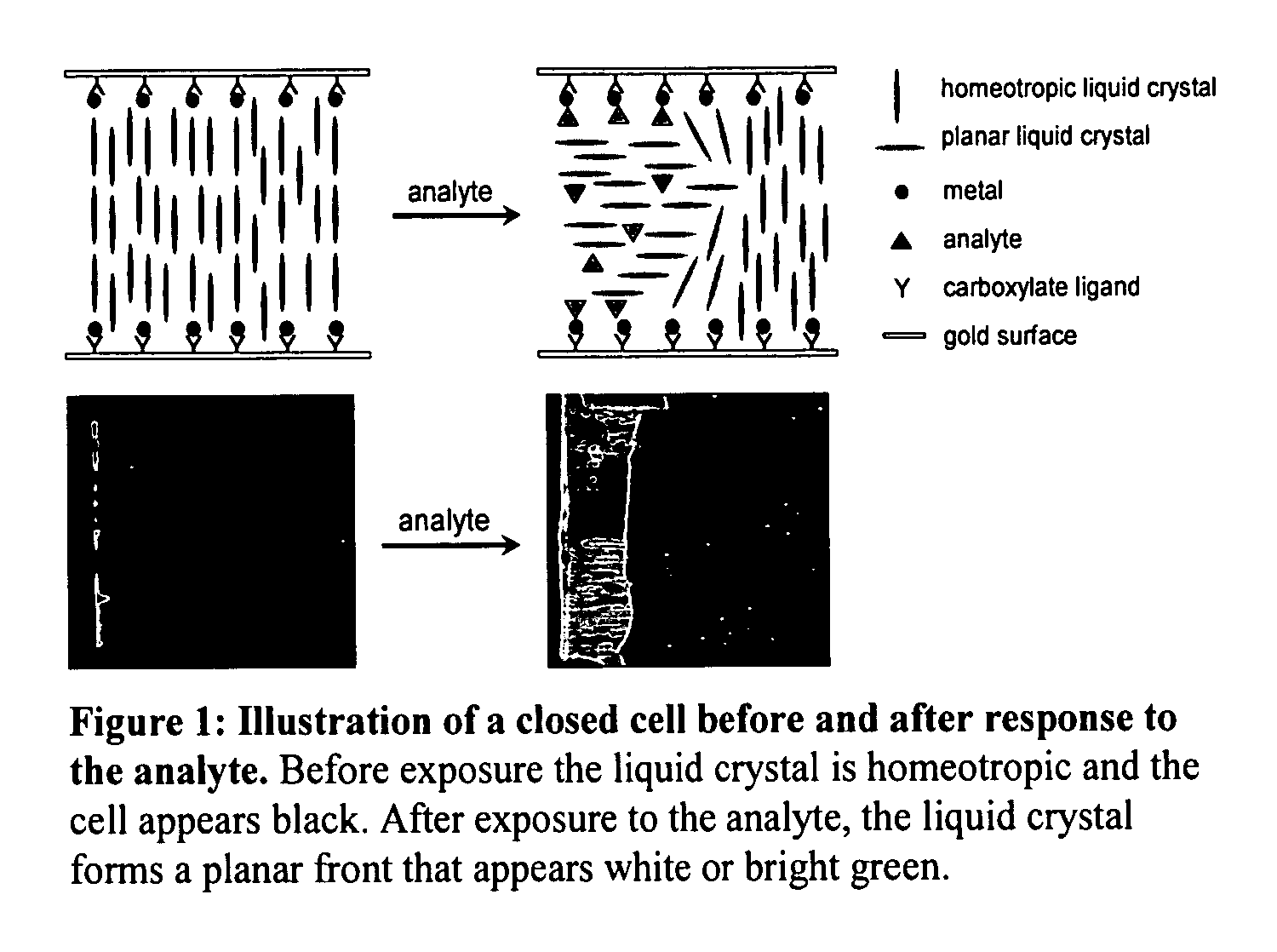 Detection of analytes