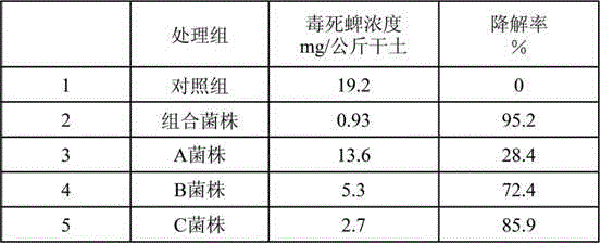 Multi-strain composition for high-efficiency degradation of organic phosphorus pesticides in environment