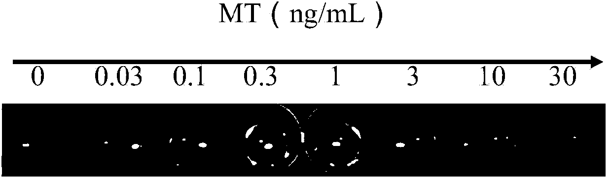 Direct competitive enzyme immunoassay method based on nano-gold plasma excimer