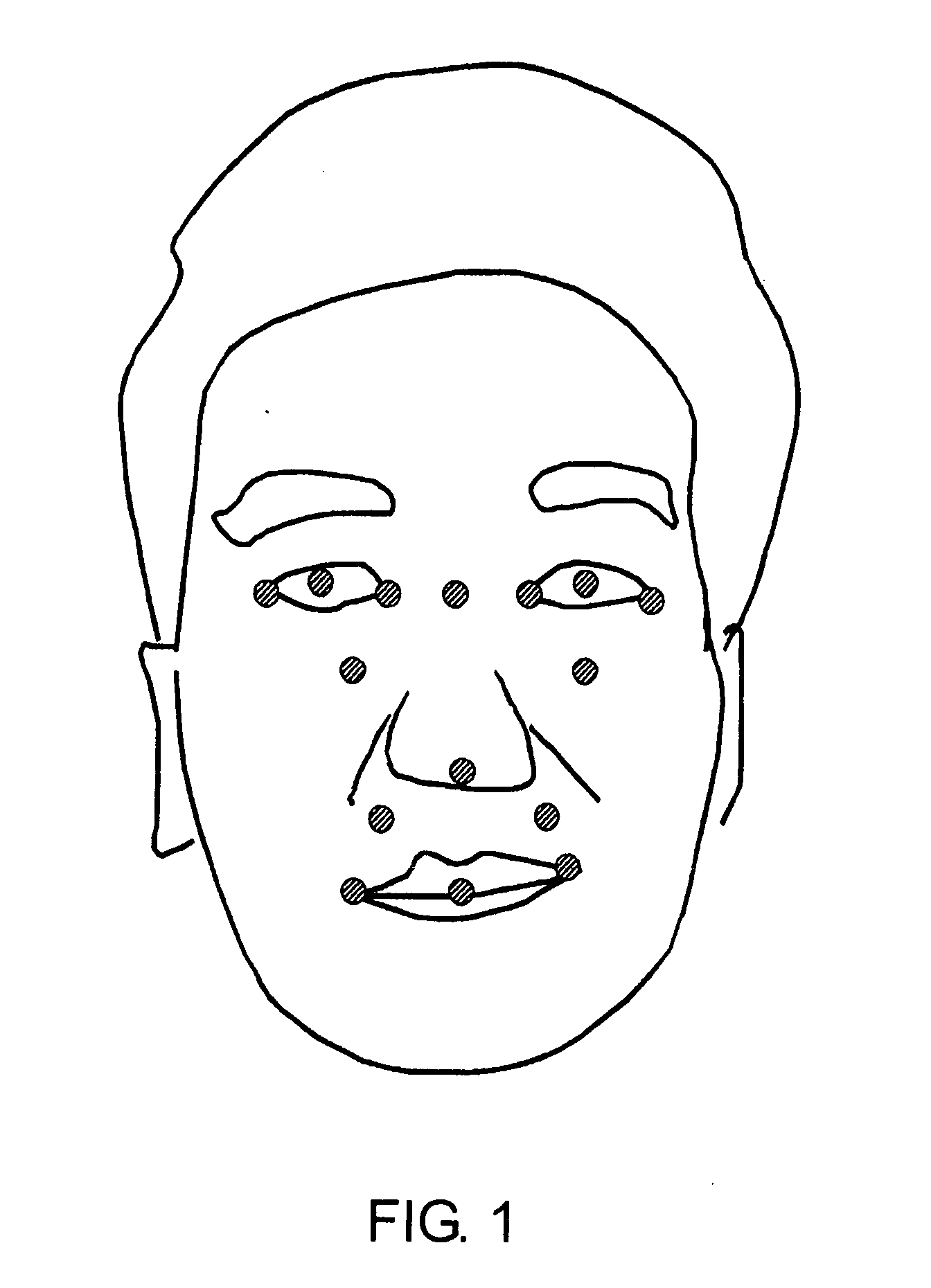 Face Feature Point Detection Apparatus and Feature Point Detection Apparatus