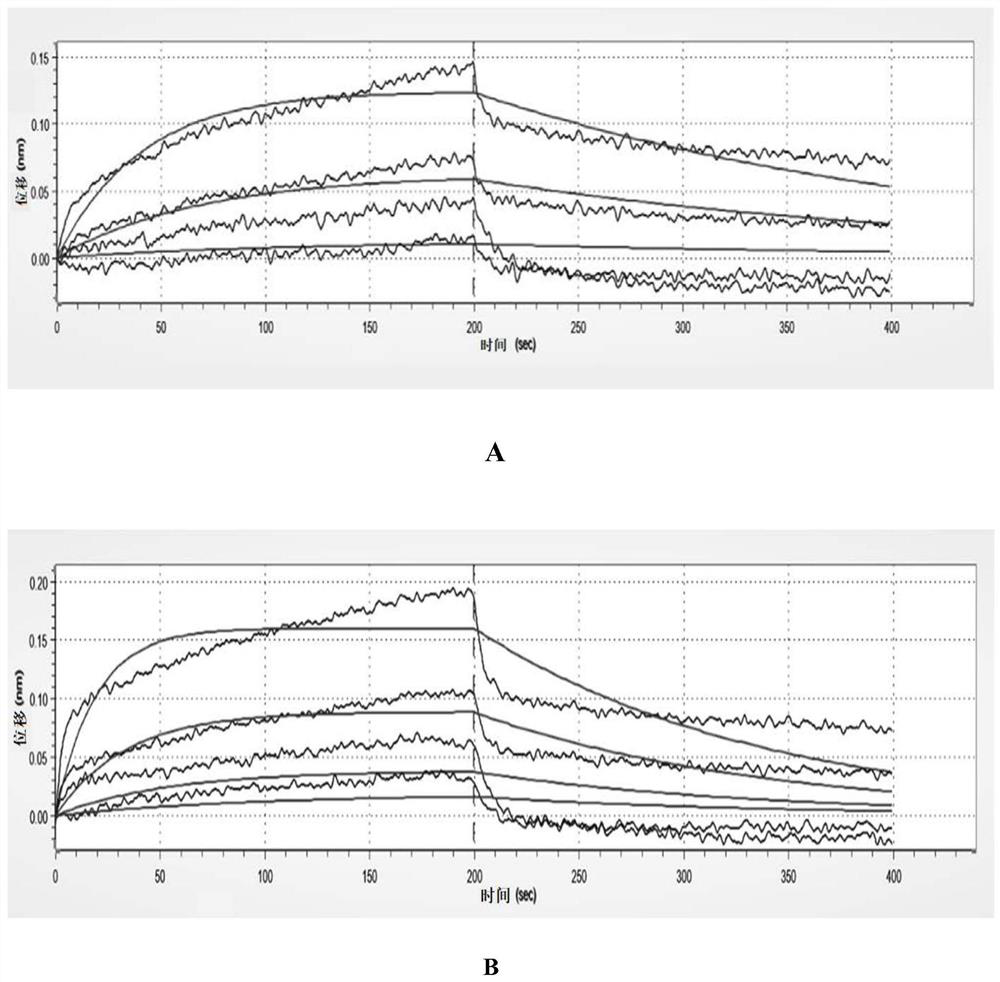 Human interferon-kappa mutant and preparation method thereof