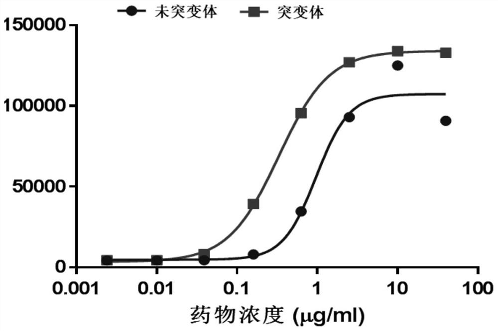 Human interferon-kappa mutant and preparation method thereof