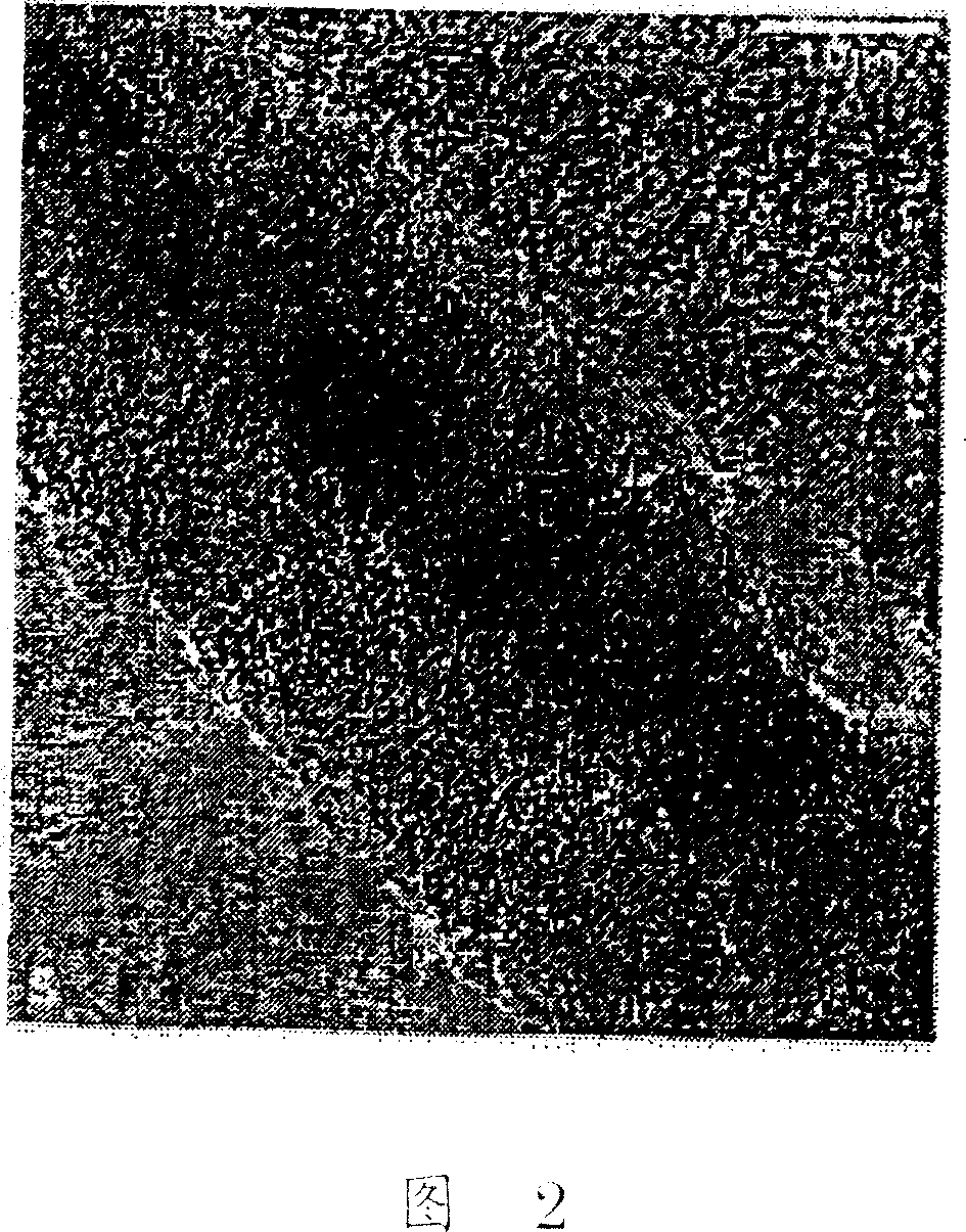 Organic and inorganic composite nanofiber, organic and inorganic composite structure and methods for producing the same