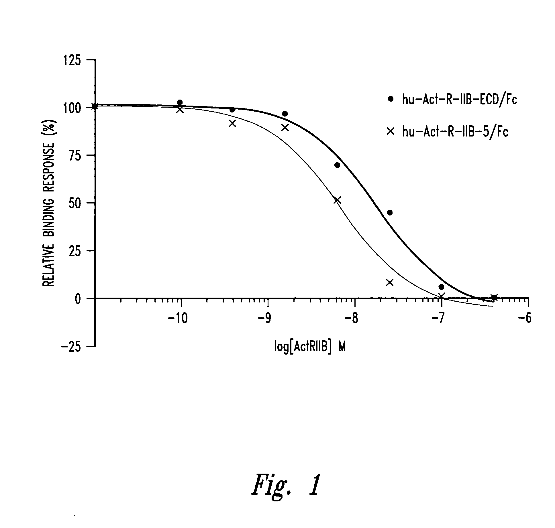 Novel activin receptor and uses thereof