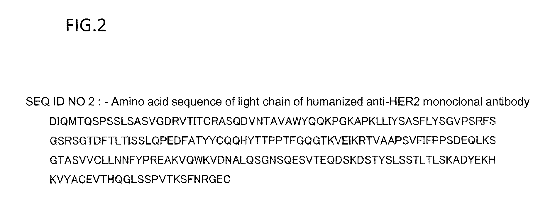 (Anti-her2 antibody)-drug conjugate