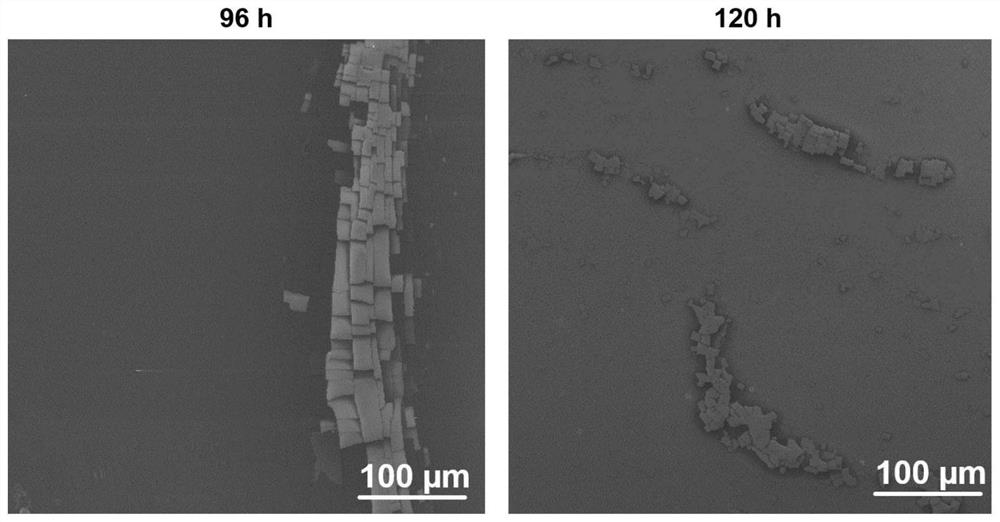 Antifouling zwitterionic hydrogel coating with bacterial responsiveness and preparation method of zwitterionic hydrogel coating