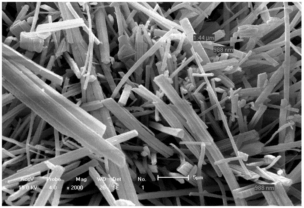 A kind of whisker fiber material and its preparation and application