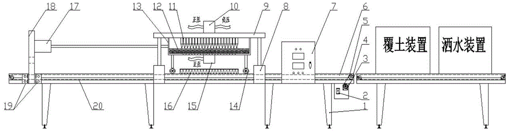 Novel precision tray seeder