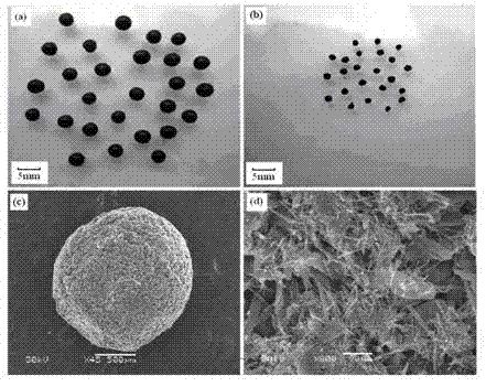 Sophocarpidine pH/ magnetic dual-sensitive hydrogel globule and preparation method thereof