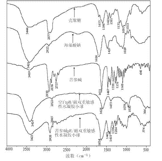 Sophocarpidine pH/ magnetic dual-sensitive hydrogel globule and preparation method thereof