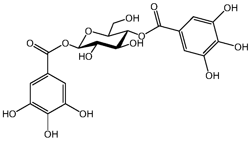 Application of galloyl-glucoside derivative and pharmaceutical composition for treating hyperuricemia