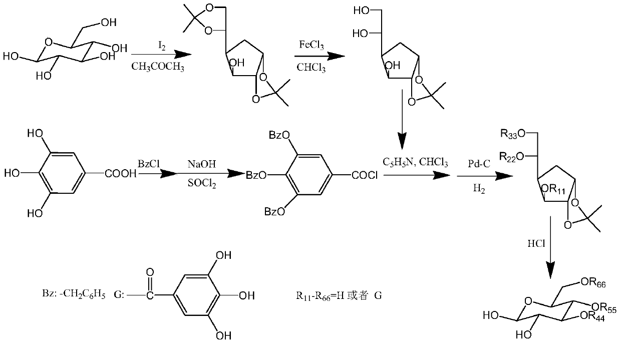 Application of galloyl-glucoside derivative and pharmaceutical composition for treating hyperuricemia