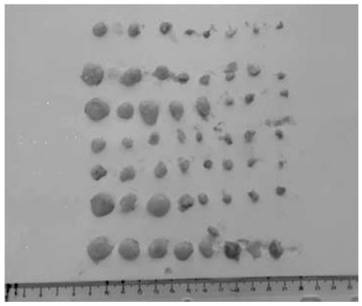 Humanized monoclonal antibody, its preparation method and its use