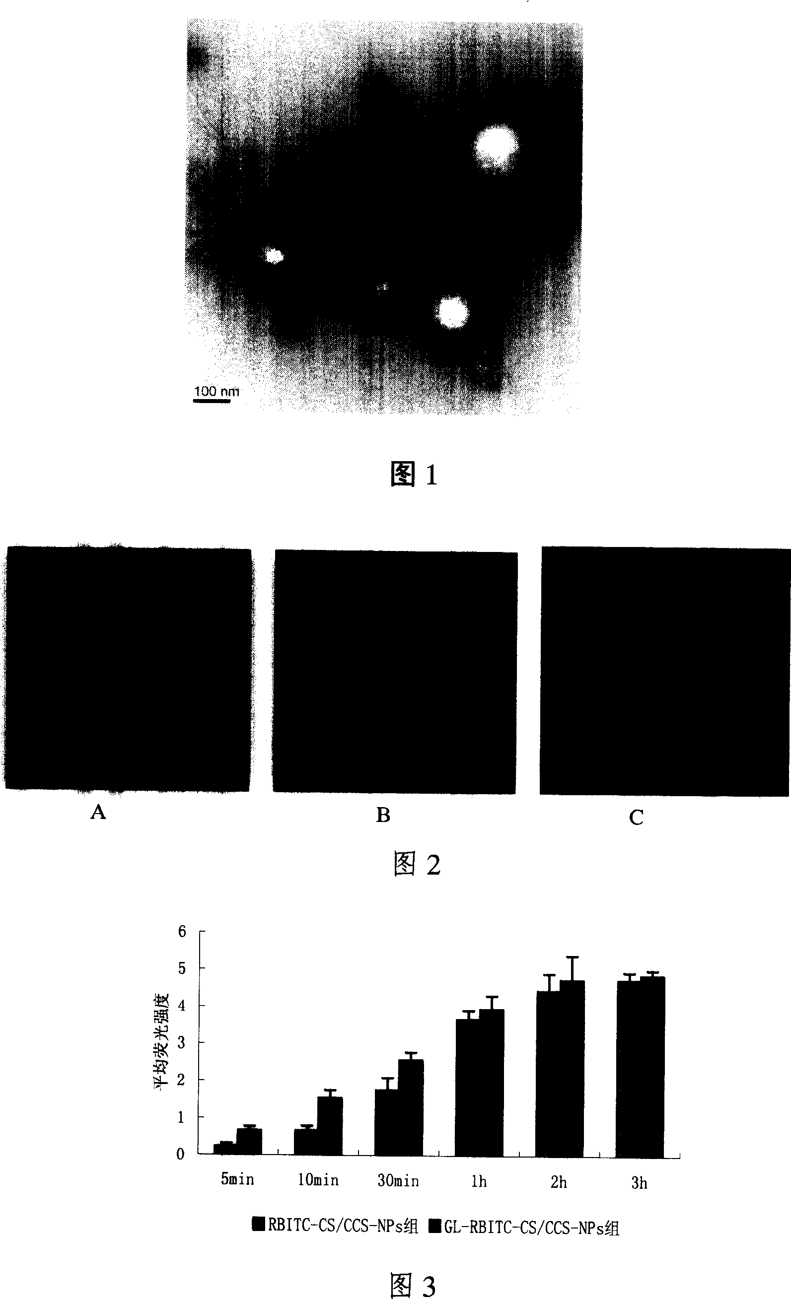 Preparation of composite drug-loaded nanoparticles of carboxyl-chitosan and chitosan modified by glycyrrhizanates