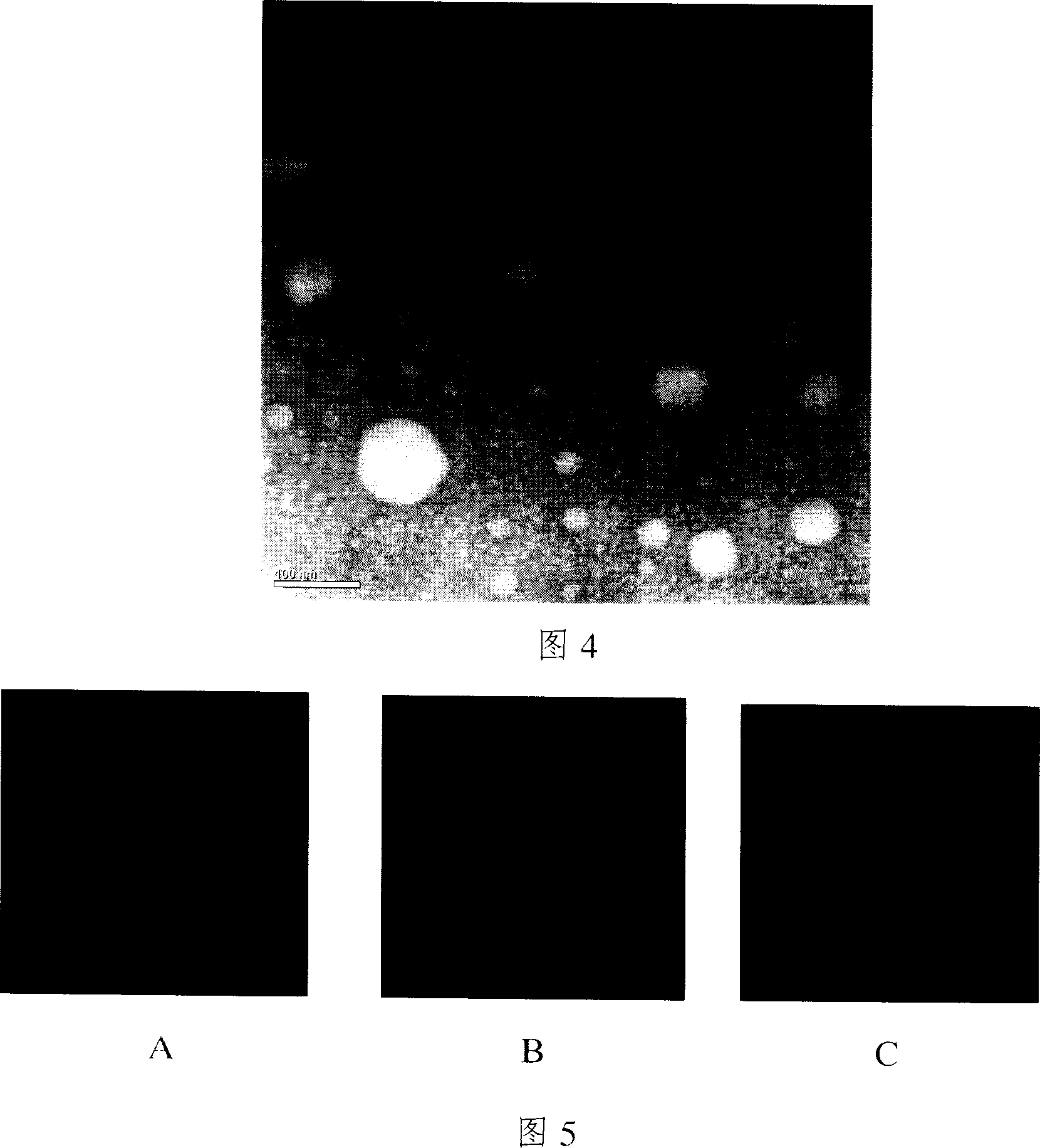 Preparation of composite drug-loaded nanoparticles of carboxyl-chitosan and chitosan modified by glycyrrhizanates