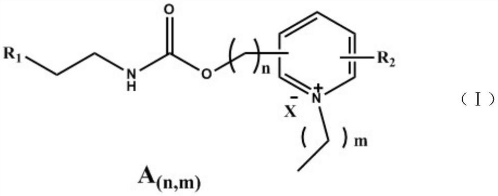 Antibacterial (meth)acrylate monomer containing pyridine quaternary ammonium salt and carbamate structure, preparation method and application thereof