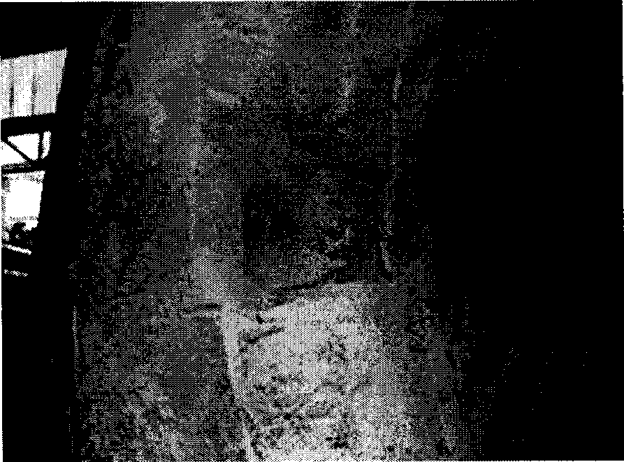 Low carbon magnesia-carbon brick, method for manufacturing the same and use thereof