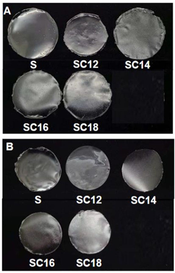 Starch-fatty acid composite biofilm and preparation method thereof