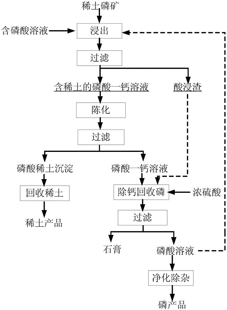 Method for recovering phosphorus and rare earth from rare earth-containing phosphate ore