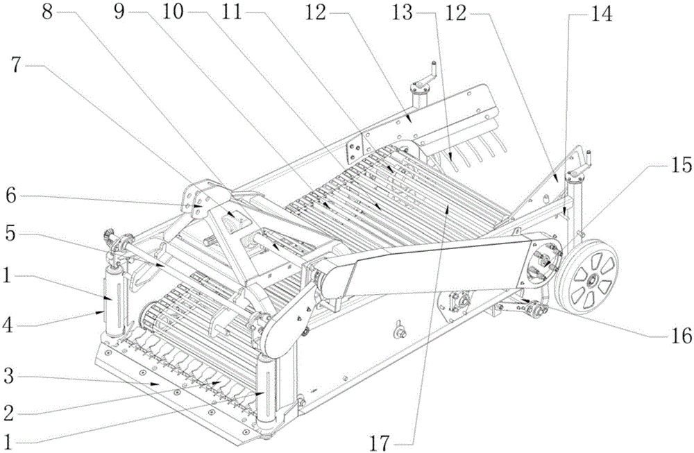 Harvester for rhizomatic crops