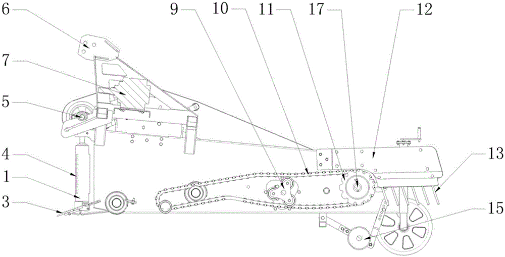 Harvester for rhizomatic crops