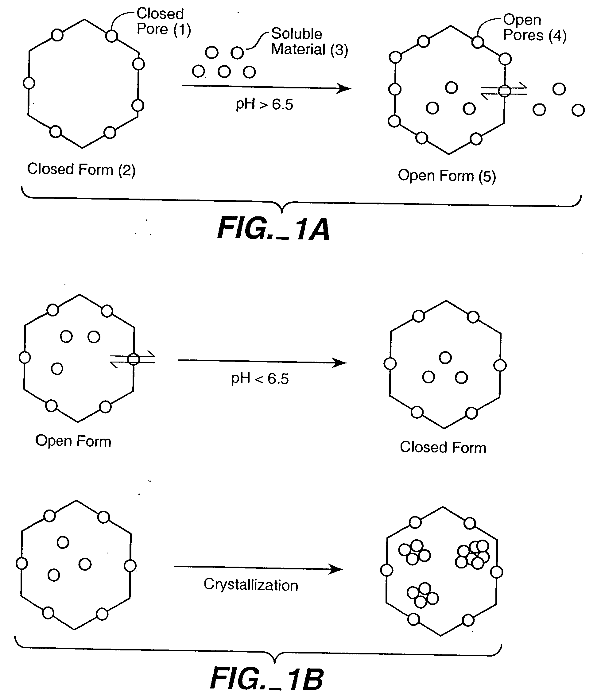 Protein cages for the delivery of medical imaging and therapeutic agents