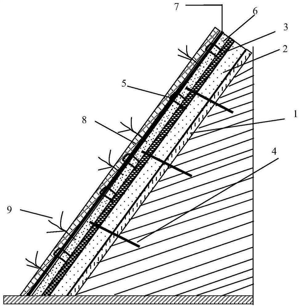 Method suitable for ecological restoration of concrete spraying side slope