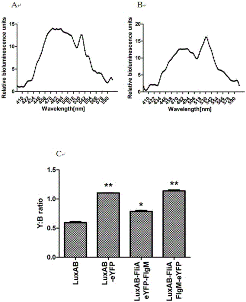 A Bacterial Luciferase-Bret-Based Method for Detecting Protein Interactions