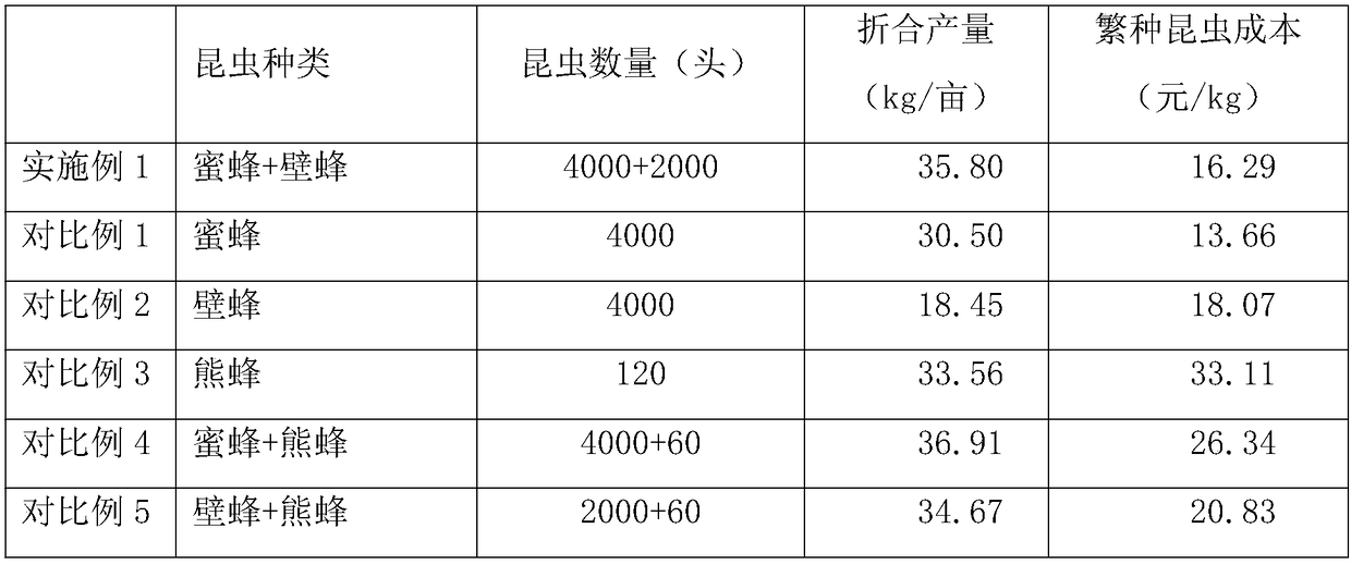 Method for improving hybrid seed production yield of cabbages in facility