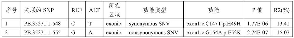 SNP molecular markers related to stearic acid content in camellia oleifera seed oil and applications of SNP molecular markers