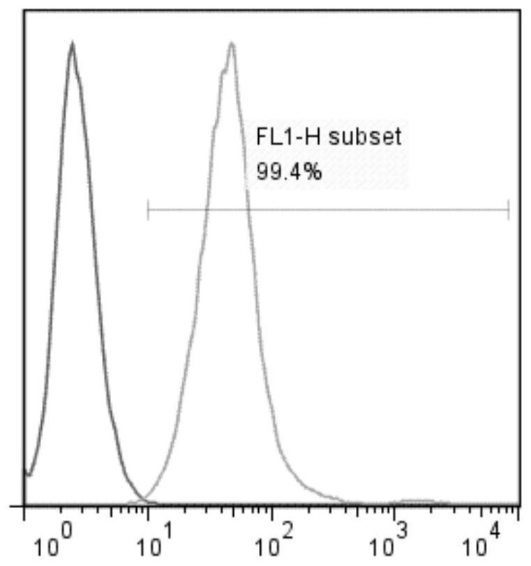 A kind of construction method of afft2 cell