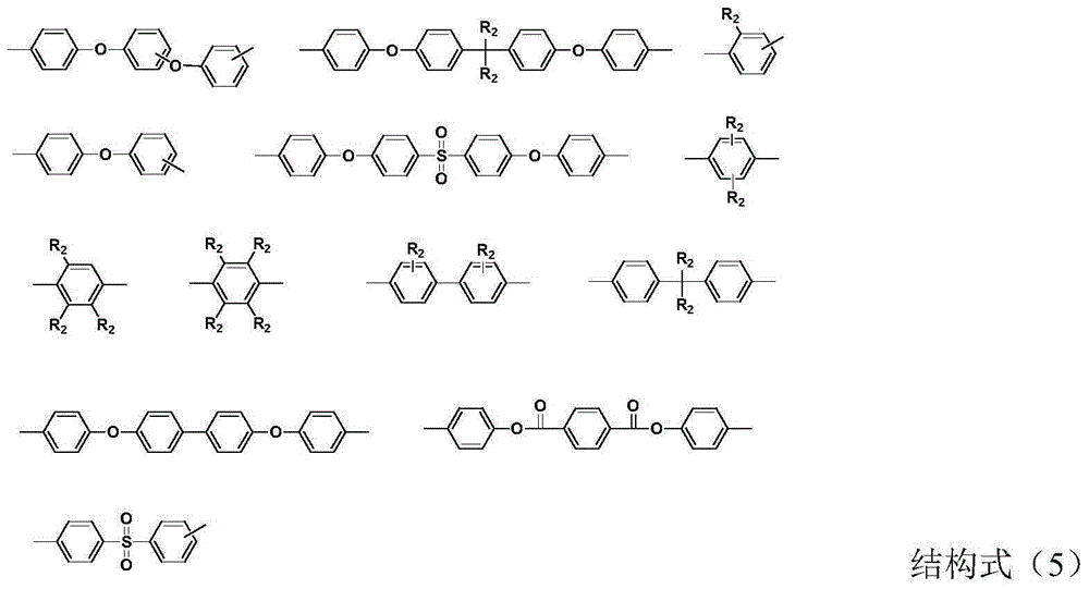 Polyamic acid composition and preparation method and application thereof