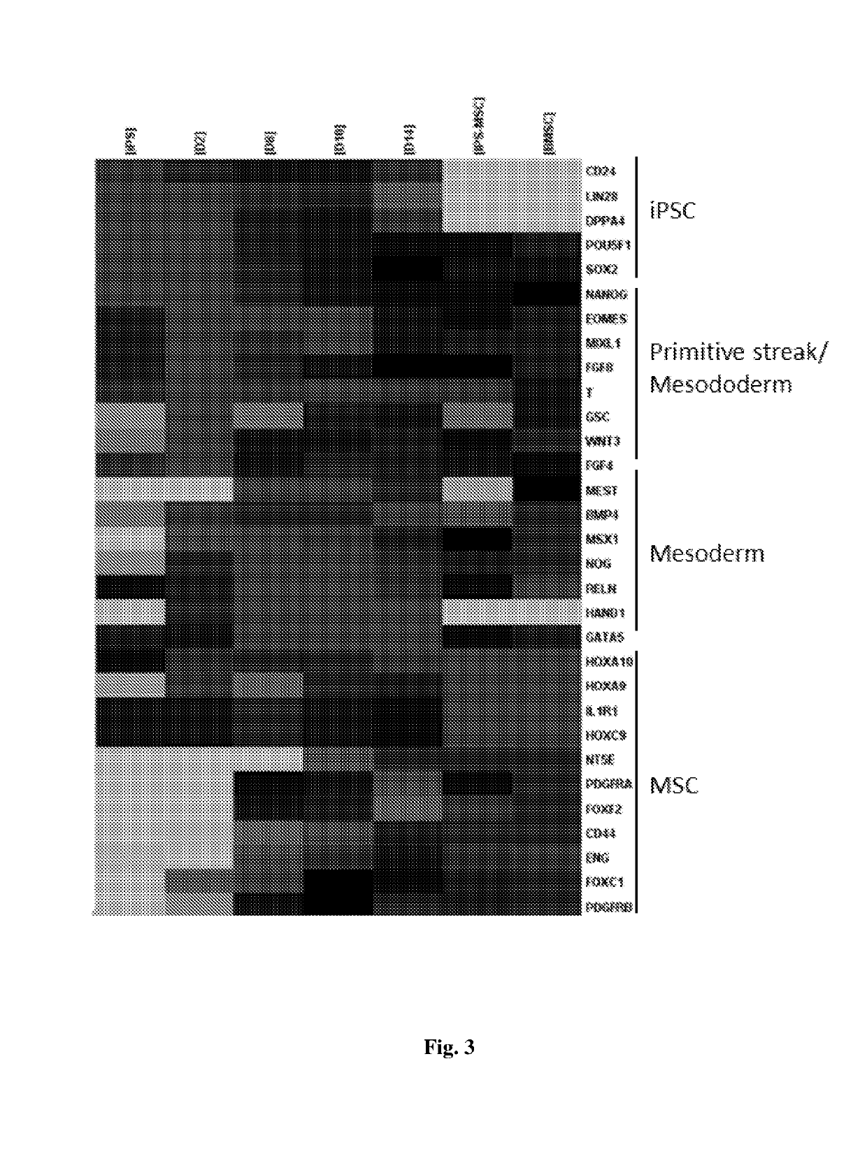 Method of generating mesenchymal stem cells and uses thereof