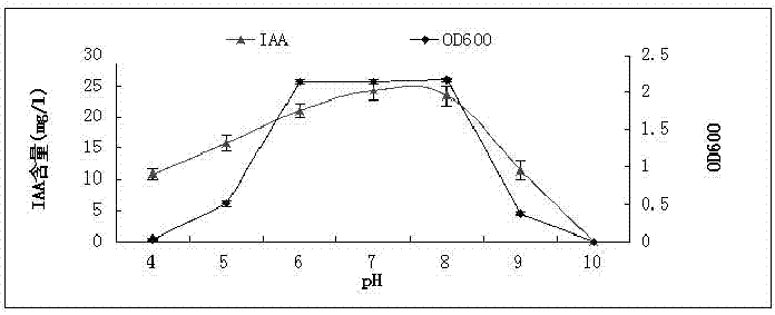 A peanut rhizosphere growth-promoting bacterium hs4 and its application