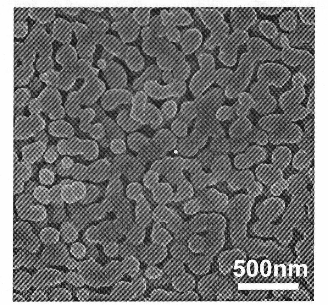 BiVO4 nano photoelectrode and application thereof in hydrogen production from water splitting