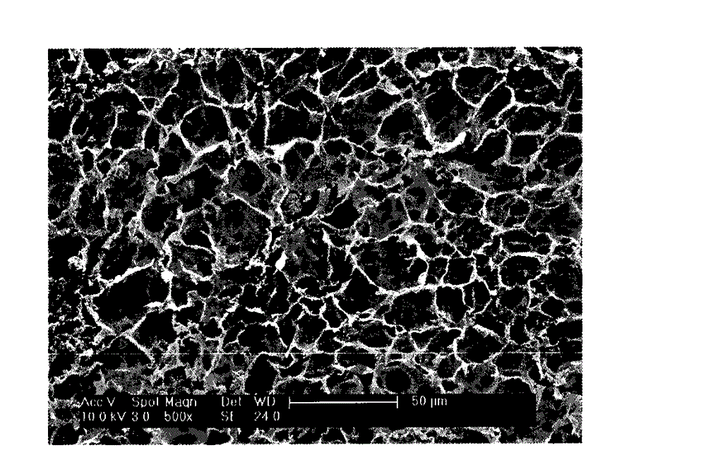 Chitosan spherical honeycombed grain material, producing method and apparatus thereof