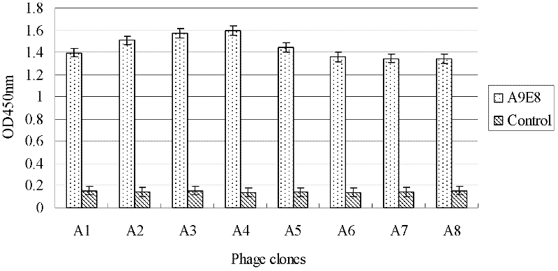 Linear neutralizing epitope polypeptide of fowl reticuloendotheliosis virus gp90 protein and application thereof