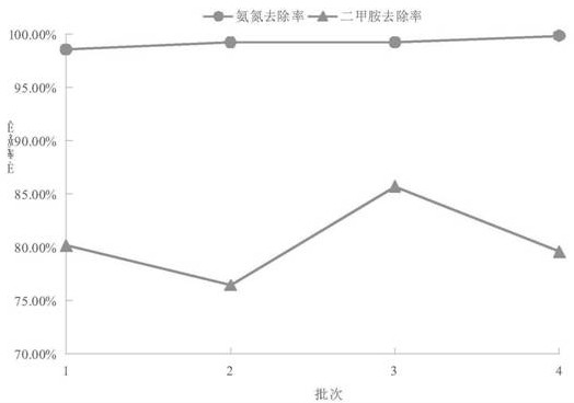 A kind of composite autotrophic nitrifying bacteria, preparation method of its solid bacterial agent and its application in the sewage treatment containing high salinity and high ammonia nitrogen