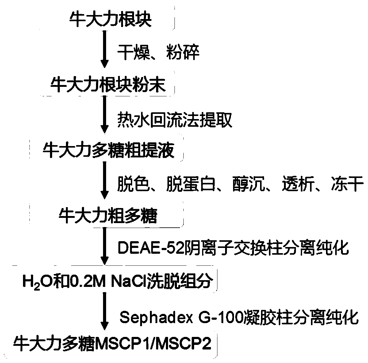 Millettia speciosa champ polysaccharide, preparation method and application thereof in antibacterial aspect