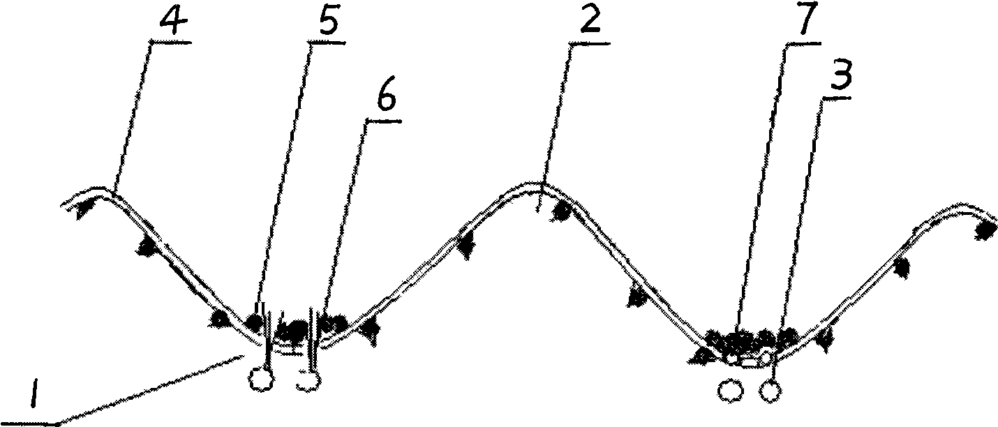 Full-film mulching and planting method of sugarcane