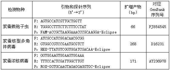 Triple-fluorescence PCR (Polymerase Chain Reaction) detection method and kit for Nosema bombycis (Nb), Bombyx mori Nuclear Polyhedrosis Virus (BmNPV) and Bombyx mori Densovirus (BmDNV), as well as primers and probes